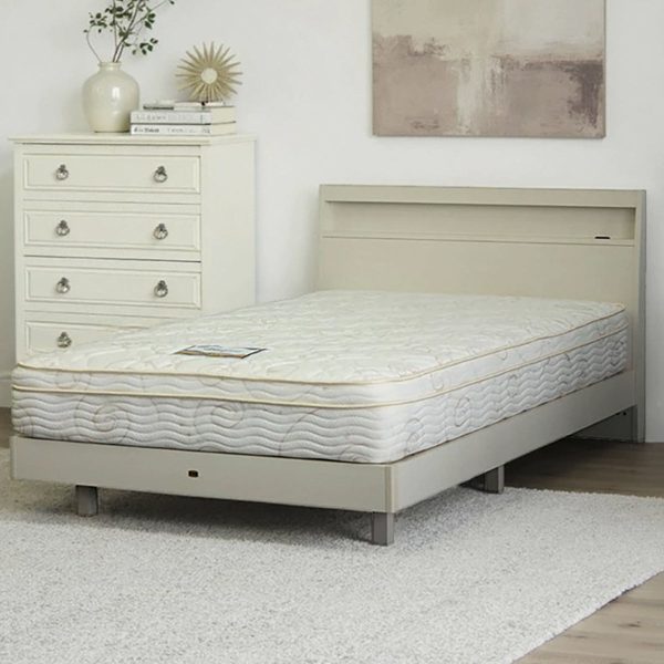 【傢俱】單人電動床 NS001 普通款