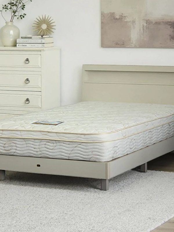 【傢俱】單人電動床 NS001 普通款